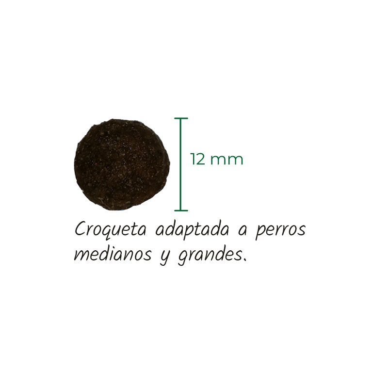 Lenda Lamb x 12 kg