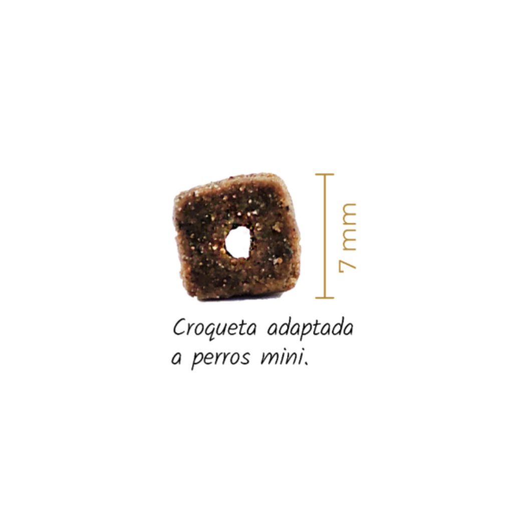 Lenda Mini Meat & Fish x 2 kg
