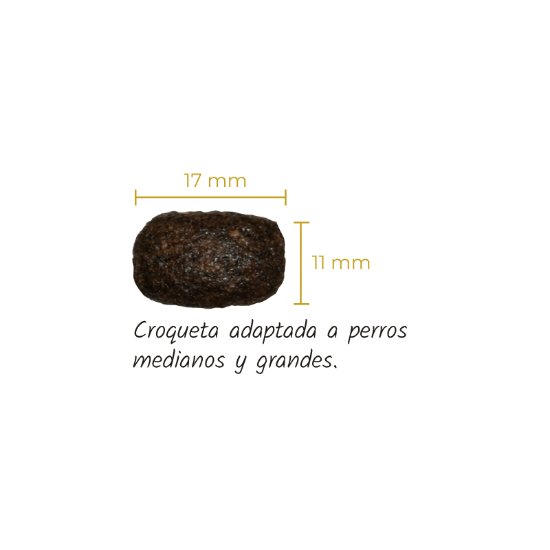 Lenda Chicken x 12 kg