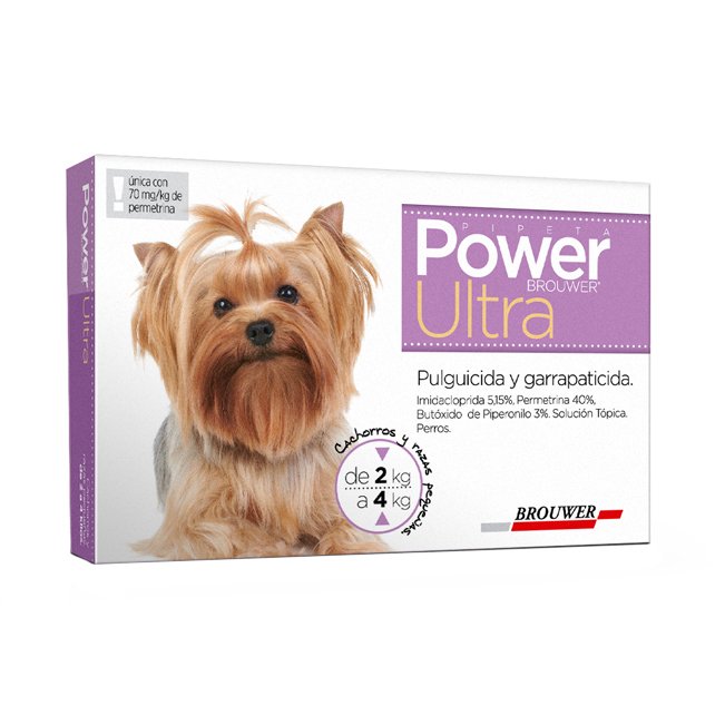 POWER ULTRA 2 a 4 kg (VIOLETA)