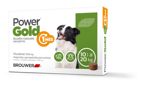 POWER GOLD 1 MES - 10/20 KG (Verde)
